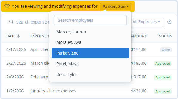 Team expense report view