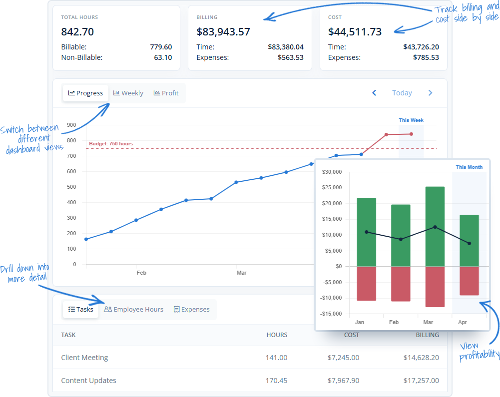 Project tracking software showing project hours, budgets, and costs